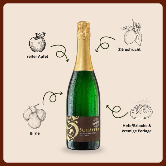 Weißburgunder Sekt, Brut, traditionelle Flaschengärung